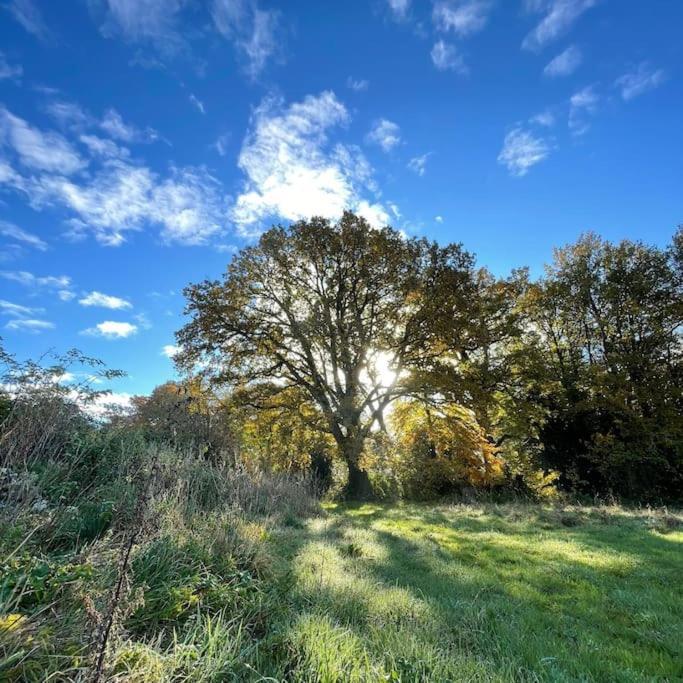 Superbe Maison De Campagne A Deux Pas De Nantes Treillières Esterno foto